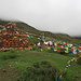 Verso il Ghyakar Monastery (5° giorno di trek)
