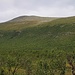 Der nur 1340m hohe Hügel Čievrračohkka. Die Baumgrenze befindet sich hier 150km nördlich des Polarkreises nur auf 700 bis 800m und der Gipfelbereich des Hügels wesit kaum mehr Vegetation auf.