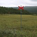 Die roten Kreuze markieren den Weg von Nikkaluokta zur Fjällstation für Schneemobile während des langen Winters.