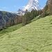Das Wahrzeichen von Zermatt.
