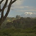 erste Sicht auf den Kilimanjaro