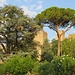 Le possenti torri della cinta muraria del Castello dei Carraresi appaiono fra il verde.