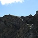 Eine Gams auf dem Ostgrat der Tulpspitze.