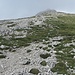 Typisches Gelände am Gipfeldach - im Aufstieg dürften (je nach Geschmack) die gestuften Graspolster rechts angenehmer sein; im Abstieg die schwache Trittspur links im Geröll, die dann auch besser erkennbar ist