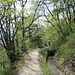 ein friedlich-gemütliches Wandern dem plätschernden Bächlein entlang