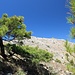 Blick zum Gipfel