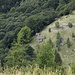 Cimetta di Orino : vista sull'Alpe Ruscada ( corte di fondo )