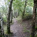 schöner Weg durch die Auen