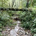 wilde Natur