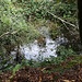 Tümpel