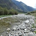 die Maggia