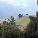 <b>Alpe Cavazza (1180 m).</b>