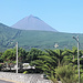 Wie ein richtig steiler Vulkankegel sieht er eigentlich nur von der Nordküste aus, hier von São Roque, 10 km nordöstlich vom Gipfel, in der Nähe von Cais do Pico, einem der vielen Naturfelsenbäder im Atlantik.