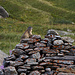 Une marmotte