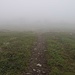 Durch dicken Nebel spazierte ich wieder abwärts. Immerhin hatte es nicht geregnet :-)
