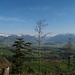 Blick von etwas unterhalb vom Köbelberg in die Lindtebene mit Speer und Co. und Glärnisch und Co.