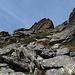 Grobes Blockwerk, durchsetzt mit Alpenrosengebüsch - so präsentiert sich der pfadlose Anstieg zum St-Johann-Spitz.