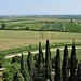 Dal campanile verso Ovest.