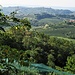 La vista sul Collio.