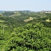 Le colline del Collio sloveno.