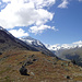 Panorama Val Roseg
