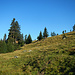 An der Gschneieralm