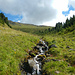 Je nach Gelände: Mal links, mal rechts vom Riedwaldbach.