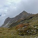 Tour de Bavon... à gauche, le Mont Rogneux