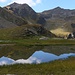 2x Ochsenhorn (rechts)