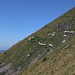 Sheep in the rather steep SW flank (35° slope).