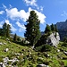 Arven auf der Rautialp.