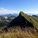 Tierberg - ein mustergültiger Voralpen-Gipfel