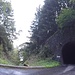 <b>Uscito dal tunnel mi trovo nella Val di Trii, il Monte Laura dista ancora 1,4 km, vale a dire una decina di minuti di tranquilla pedalata. </b>