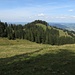 Mittagberg, der Gipfel liegt auch hier absteits des Wegs im Wald.