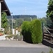 Blick vom Weiler Limpach zum Funkturm auf dem Höchsten.