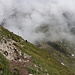 Im Aufstieg zwischen Portiţa Viştei und Vârful Viştea Mare - Rückblick. Nach wie vor treiben Wolken über den Kamm. Der "Weg" ist insgesamt nicht schwierig. Dennoch ist etwas Vorsicht angebracht, da die Flanken recht steil abfallen. 
