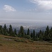 Blick vom Plateau Kok Zhaylyau auf Almaty.