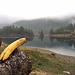 Banana e lago.