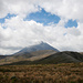 Endlich lugt die Spitze aus den Wolken: Mt Ngauruhoe aka Mt Doom