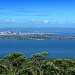 Aussicht vom Gipfel auf Auckland