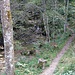 Abstieg durchs Steigbachtal
