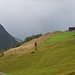 Ein paar Höfe außerhalb des "Zentrums" von Kaisers, dahinter eine ständig grummelnde Regenwand, die die Allgäuer Alpen verdeckt