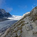 Le Glacier d'Orny