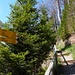 Start Bergstation Urmiberg