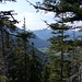 Am Brunnerstein