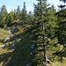 Sehr vielversprechend sieht vom Brunnerstein die Gratwanderung zum Rainerkopf aus: ich freu mich schon!