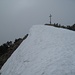 am Gipfel des Ochsenälpeleskopf (1905 m)
