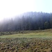 Die Wiesen am Öderberg sind nach dem Nachtfrost überreift. Das Gras knirscht. Der weglose Anstieg ist viel steiler, als dieses Bild es vermuten läßt.