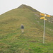 Von der Verzweigung Meielchäle(2240m): der Pfad führt nicht direkt zum Gipfel, sondern quert unterhalb des Gipfelaufbaus nach rechts zum NO-Grat
