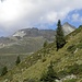 der Weg zum Schneeloch quert diesen steilen Hang